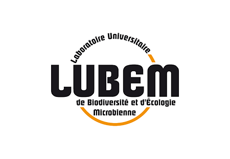 Lubem